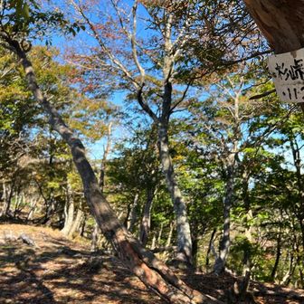 杉峠ノ頭。