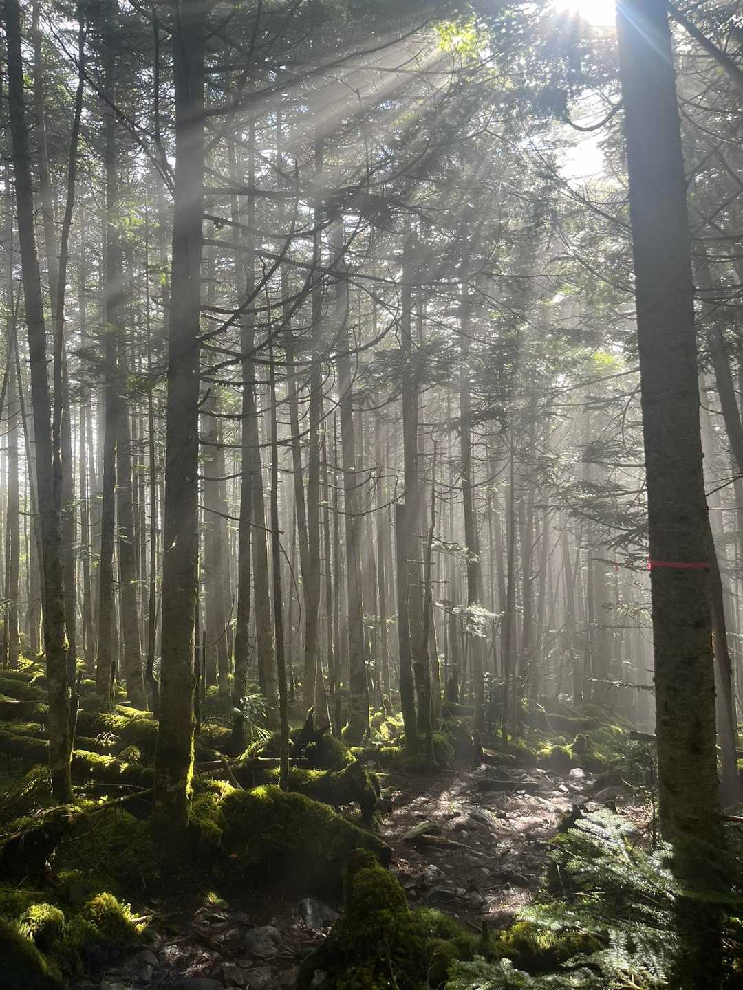 丸山 周回コースの写真
