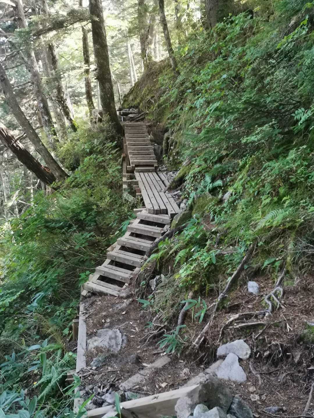 🙄空中回廊まである