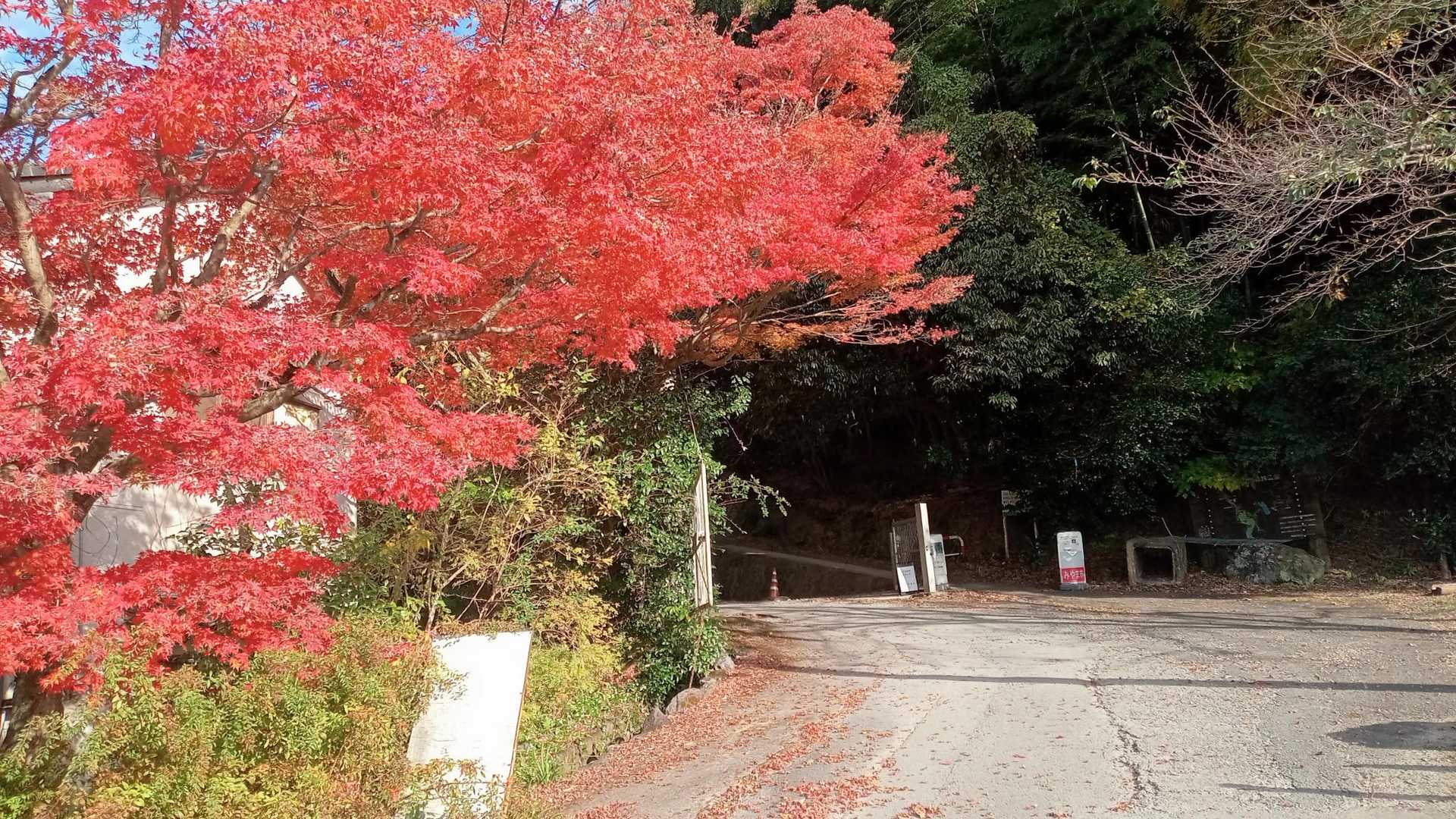 女山 往復コースの写真