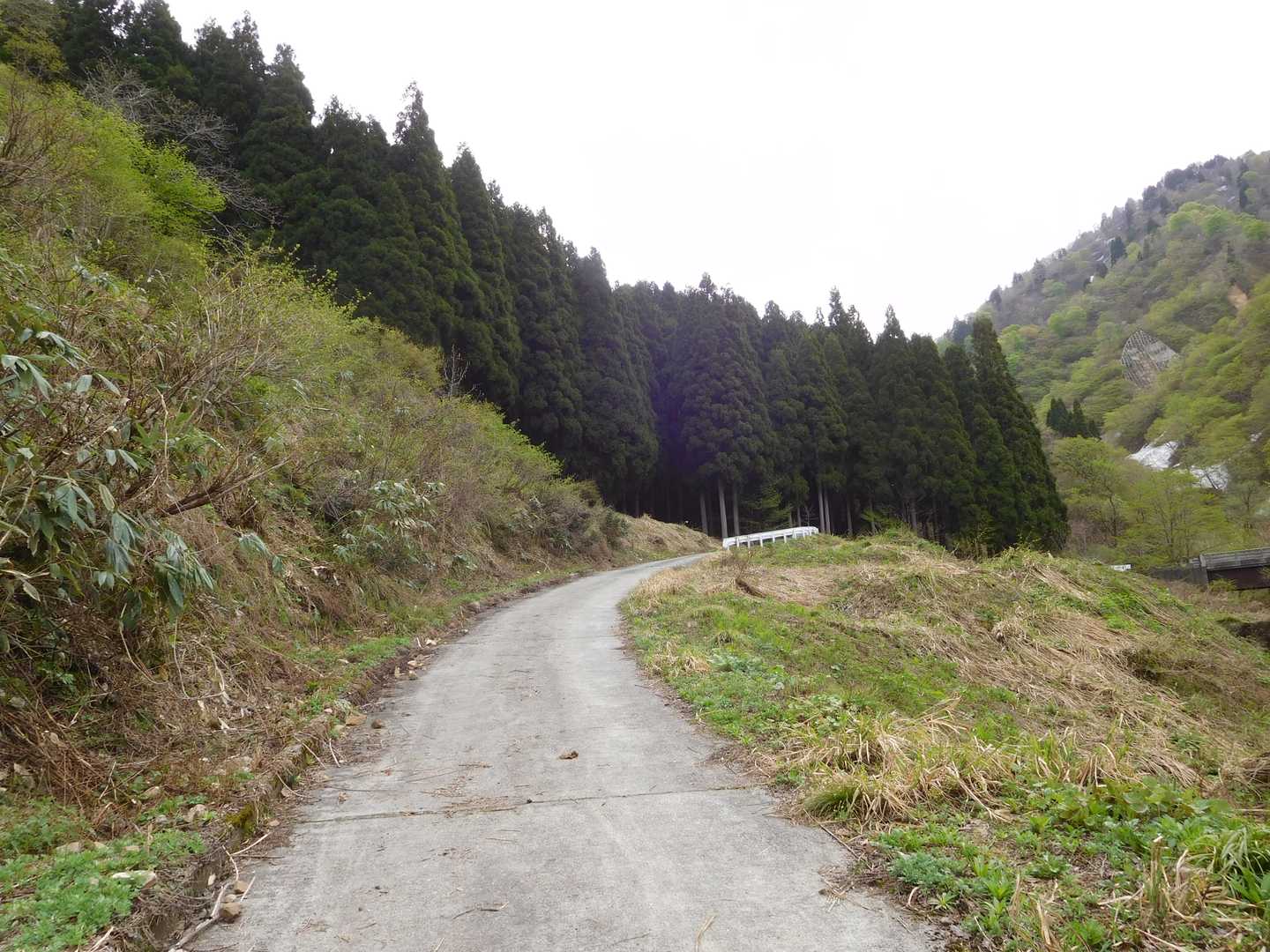 登りではガードレールあたりに軽四が停まってました。
下りでは普通車か停まってました。