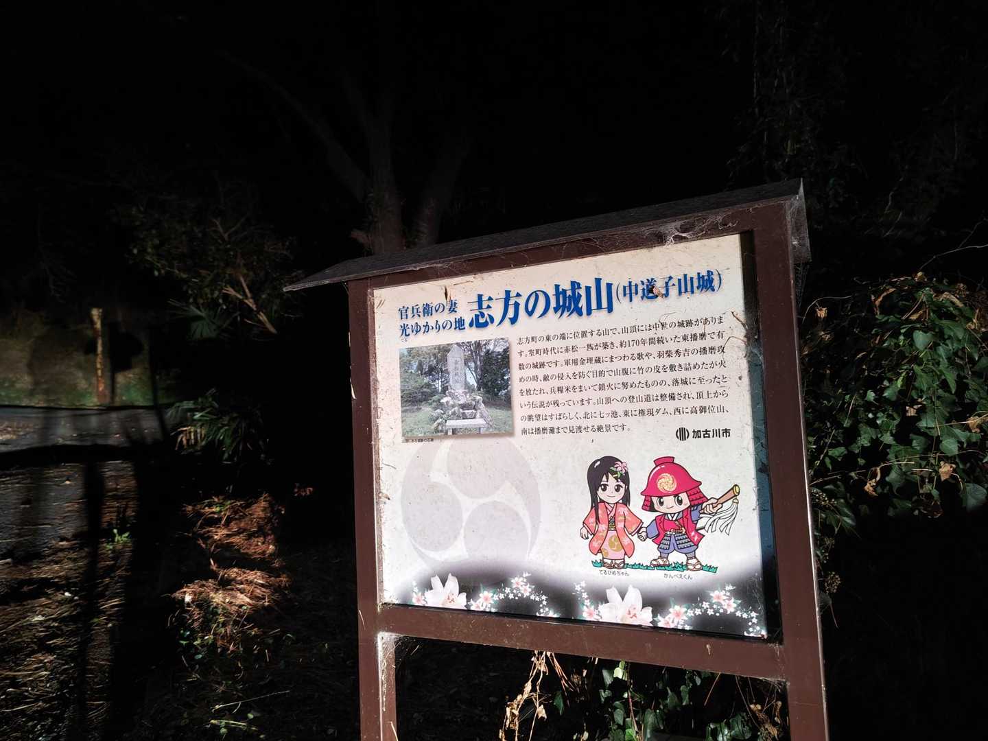 まだ暗い中スタート