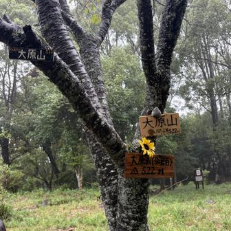 大原山522ｍ
知らぬ間に400座
帰って気づく🤭