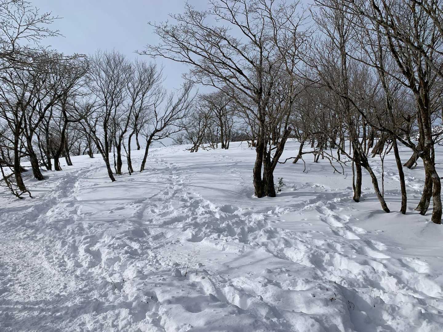 あと少し