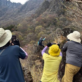 みんなで撮影会
