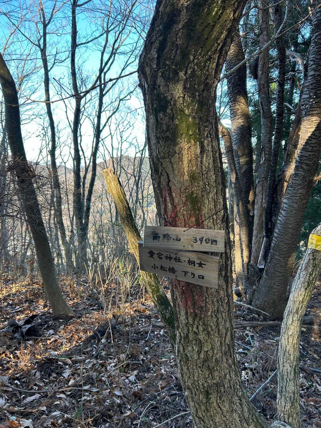 雨降山