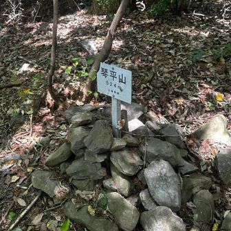 琴平山山頂