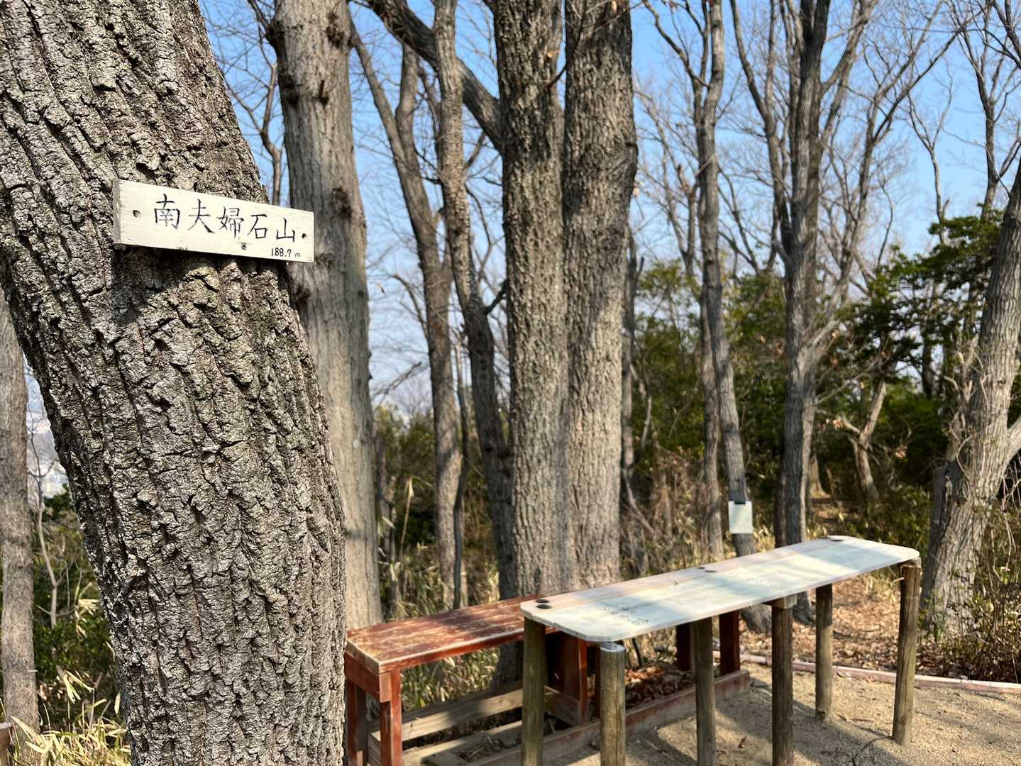 あっという間に2ピーク目🚩　南夫婦石山✨
ひらけていて、ちょうど木が背もたれになる素敵なベンチまであります😊　ちょっと休ませて頂いて、次へGo♪
