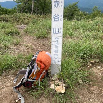 山頂です♪