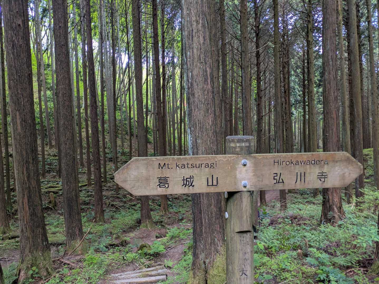 後少しで頂上