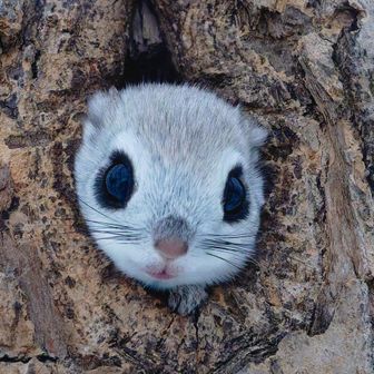 ぶらぶら＠京都