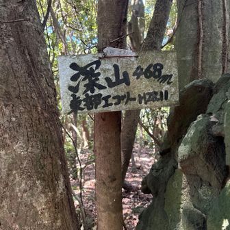 深山、山名標識は大滝山と同じ団体が設置した模様。