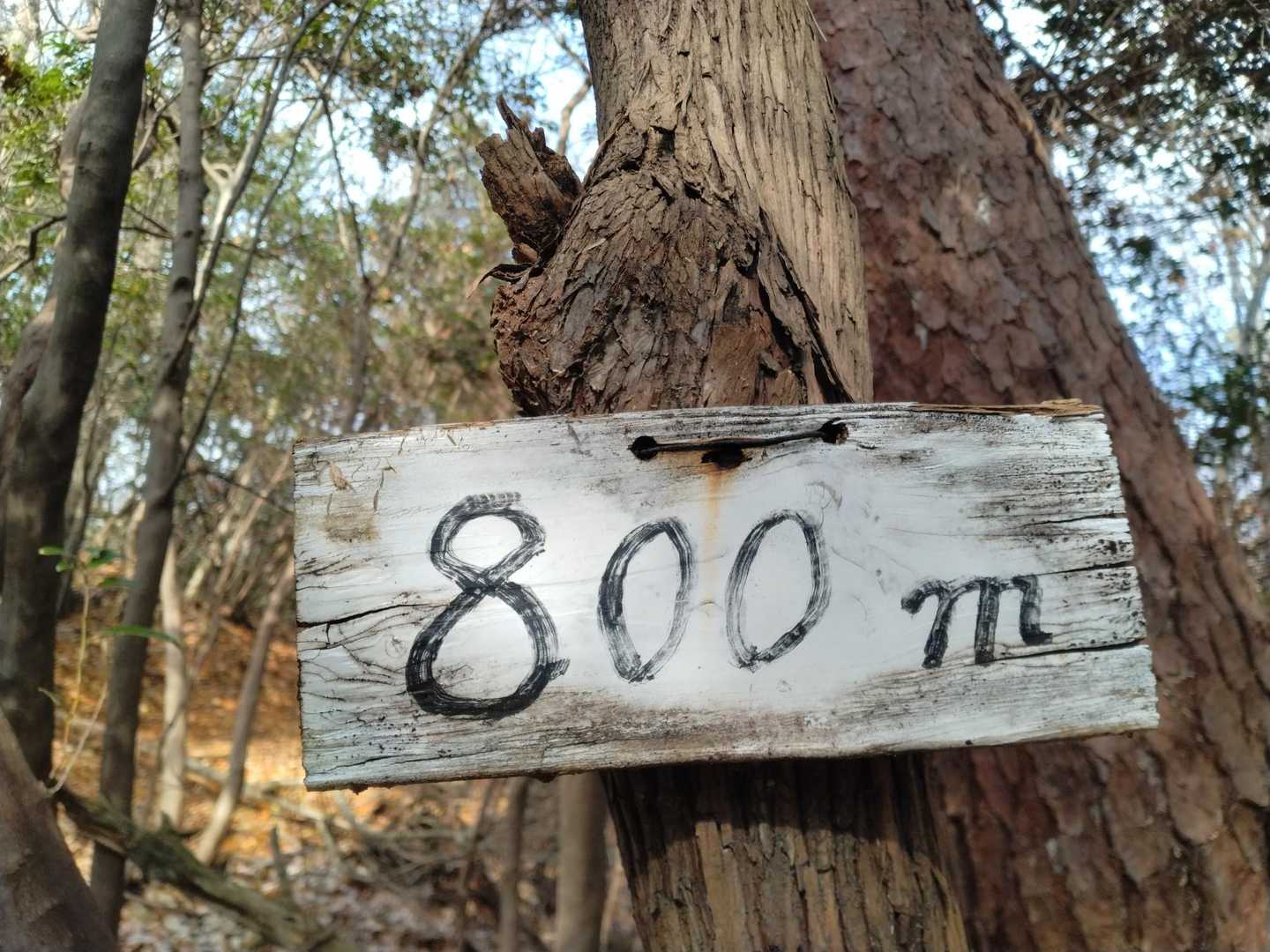 800m！