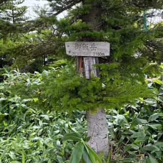 1時間ほどで御飯岳に到着⛰️
