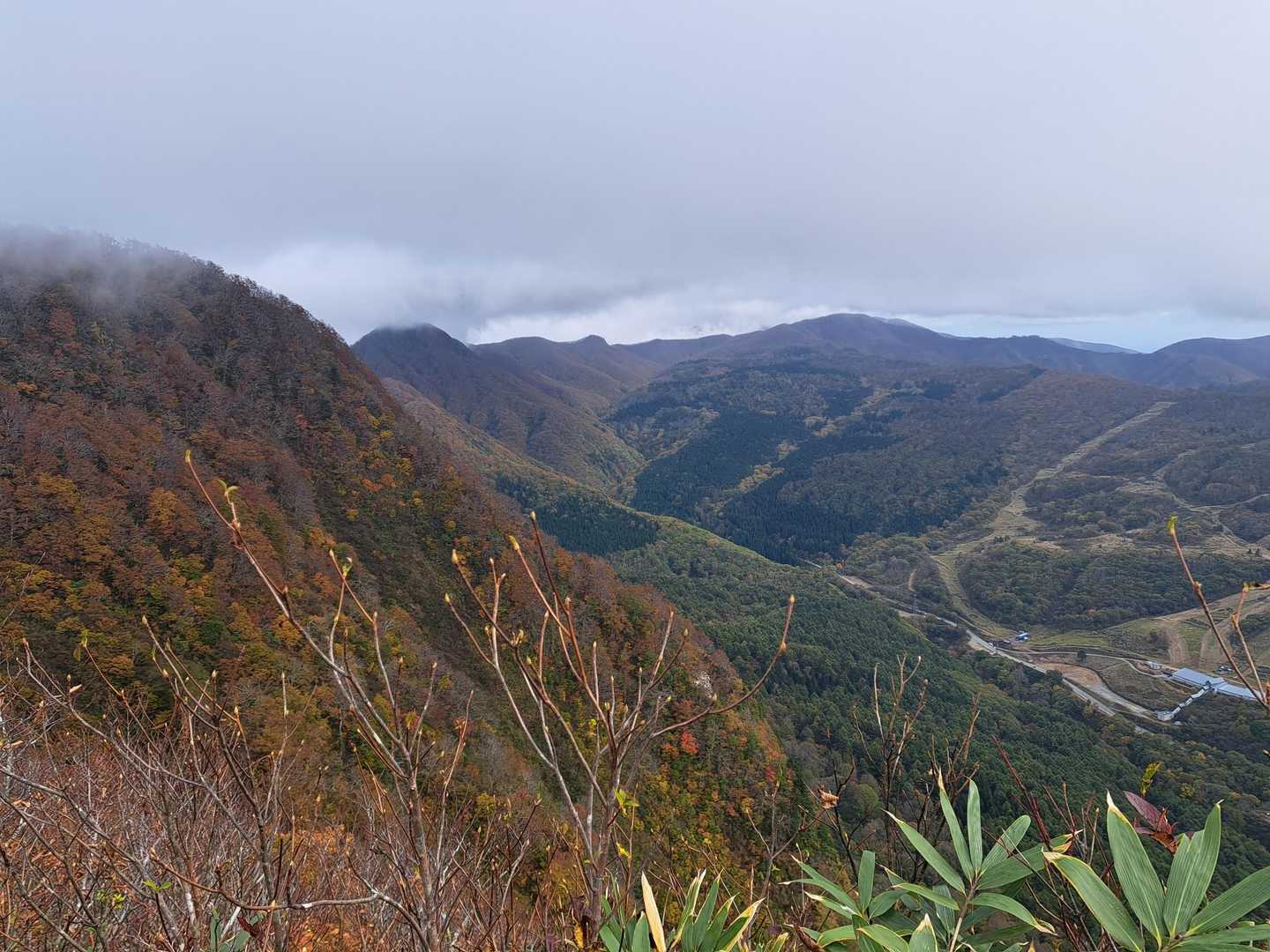 黒伏山 往復コースの写真