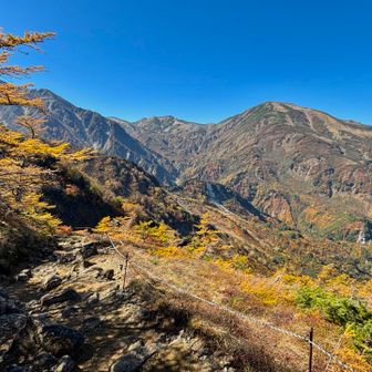 蓮華温泉への下りは長い…
天狗の庭あたりの紅葉が綺麗でした👺
途中、若い4人くらいの手ぶらに近い少年たちが勢いよく登って行きましたが、おじさんは大丈夫か不安です👴