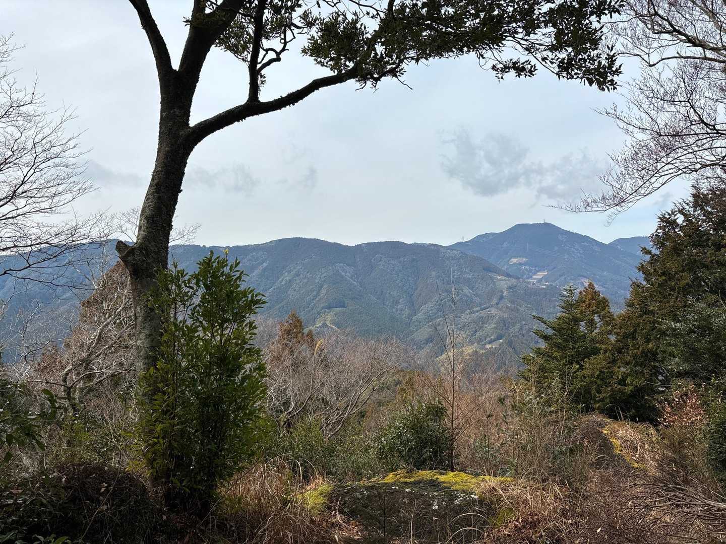 石谷山（びく石） / めろんにぎりさんの城山・石谷山（びく石）の活動データ | YAMAP / ヤマップ