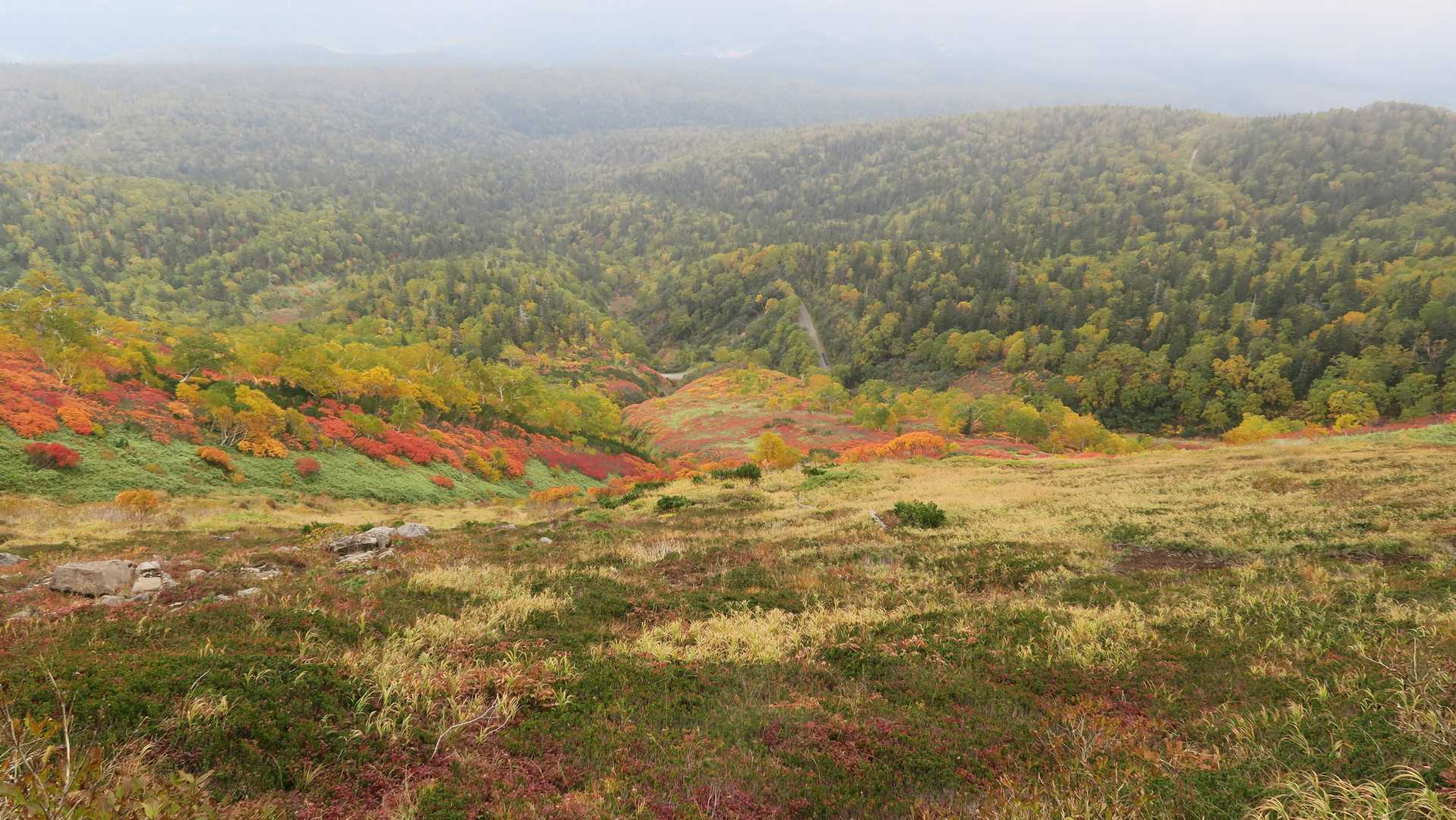 紅葉🍁を眺めながら下山