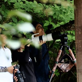 キャノンRF200-800（レンズだけで約２キロ、カメラ本体を入れると３キロ近いカメラの手持ち撮影は、かなり大変でしょう）
ご挨拶をして、先に立ち去りました😎
バーダーさんたち、まだまだ観察を続けるようでした🐦
楽しいお話、ありがとうございました…