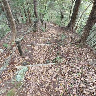 最初の分岐まで戻り、分かりやすい下山道があるのでそこを下って行きます(奥の院方面には進まない)。整備はされてますが、相当に急な勾配で、かつ段差もあり、場所によっては階段を構成している横木？間の土が足りなくて大きく凹んでいるゾーンが続くので、かなり歩き辛く神経を使います😭