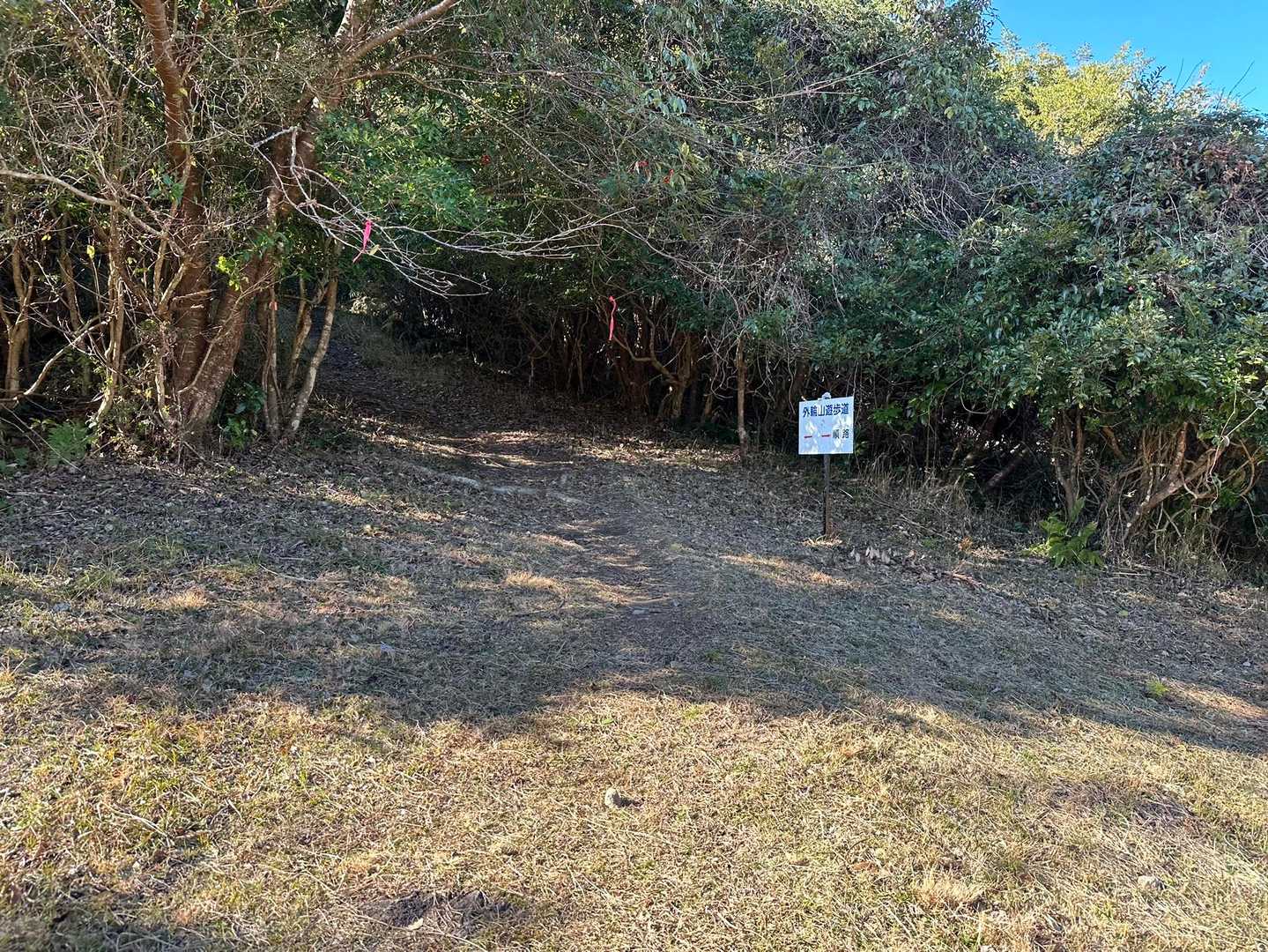 ここから、急登。

