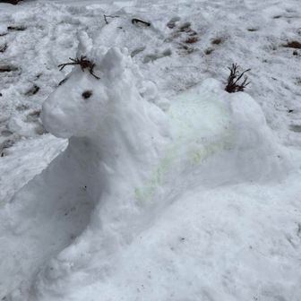 ちょっと手直し🐴