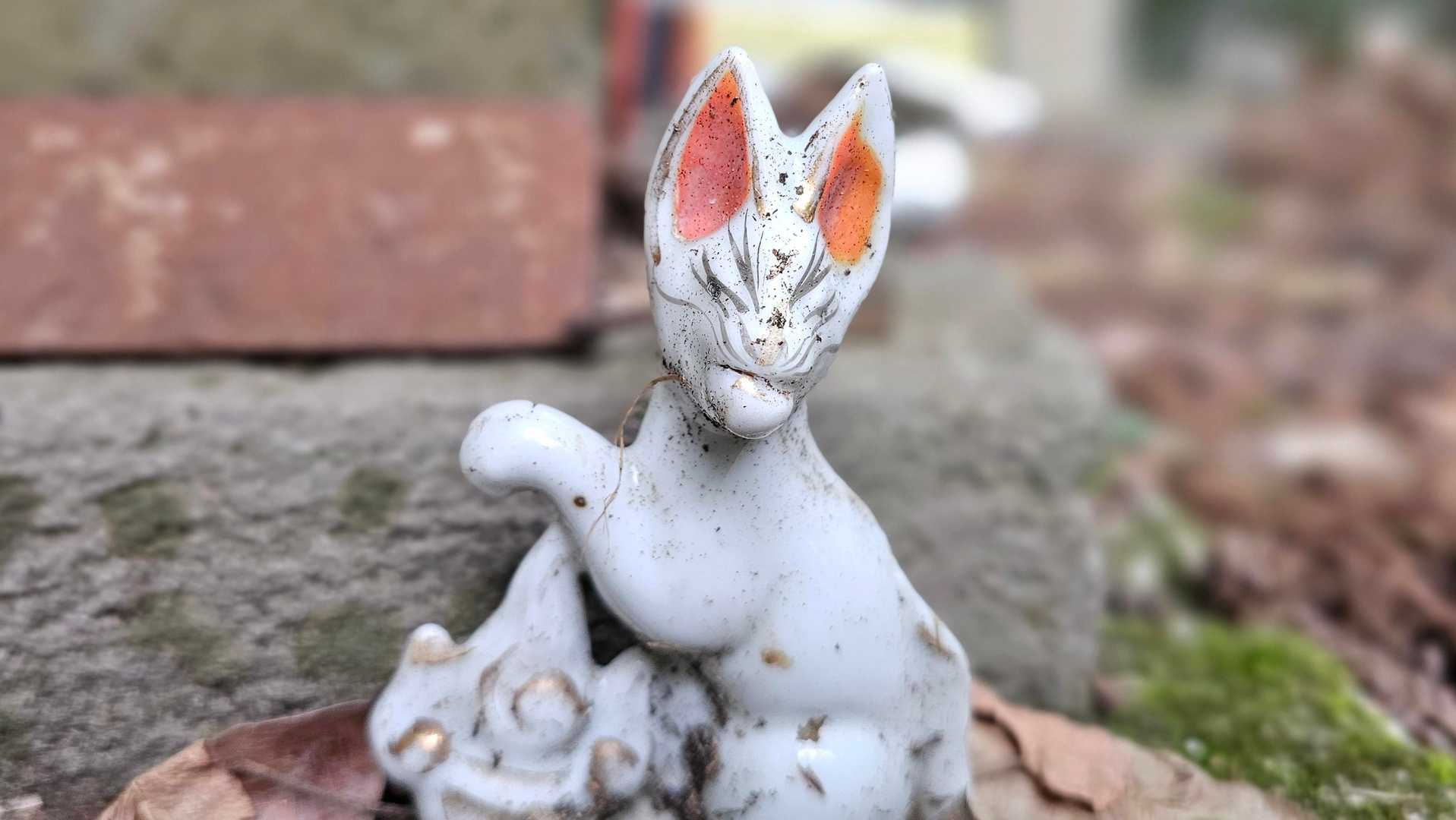 🦊💕