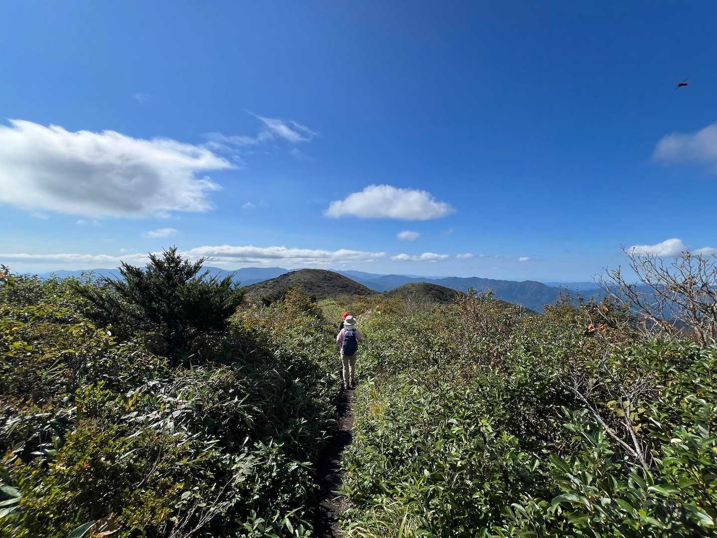 月見が丘登山口-岩樋山-道後山 往復コースの写真