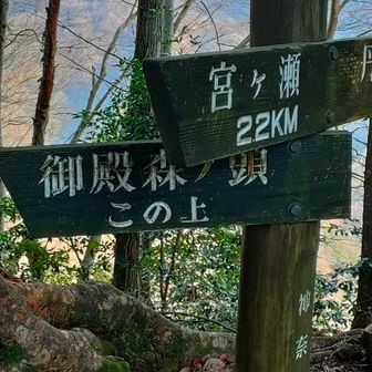 御殿森の頭に寄ります