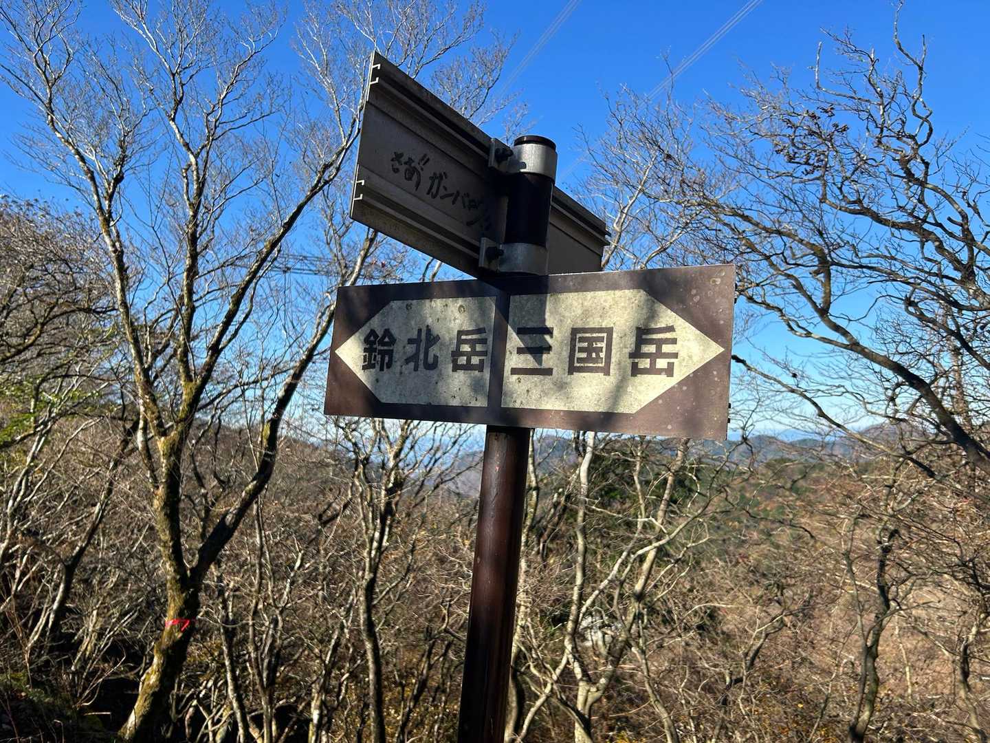 左へ行く人の方が多いんだろうな…😅