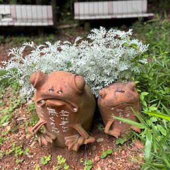 カエルさんが迎えてくれてます🐸