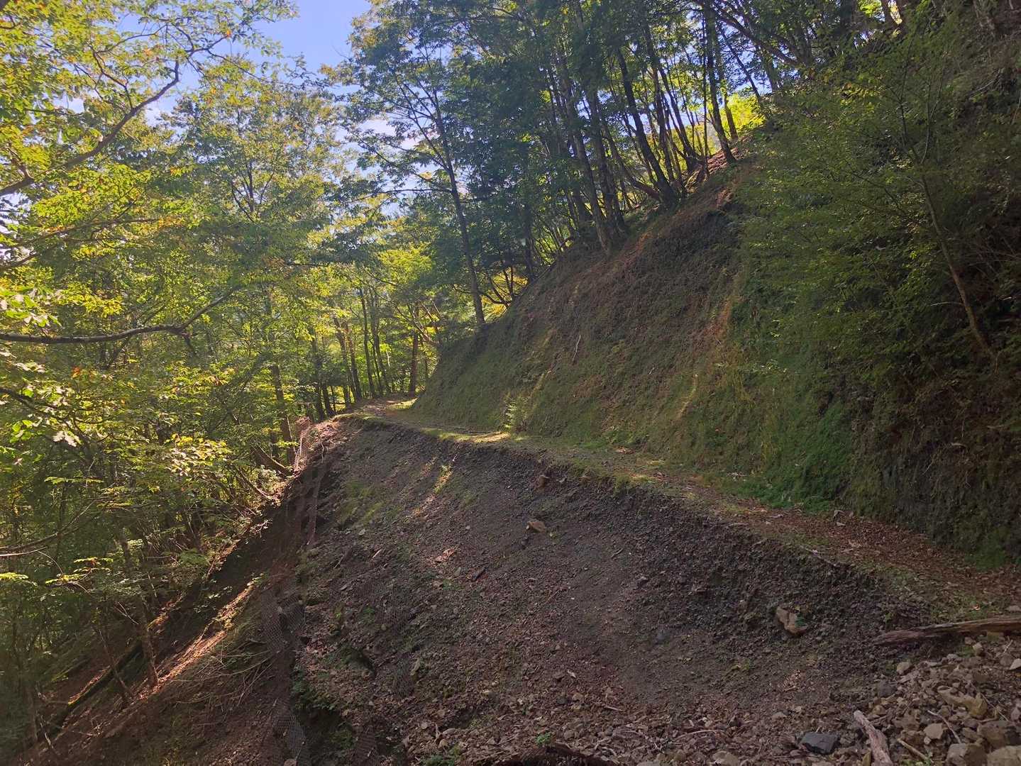 山腹を縫うように登山道が続いてます🎶