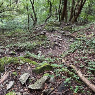 虚無。ひたすら下山。長いわ。