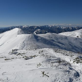 そろそろピストンで戻ります