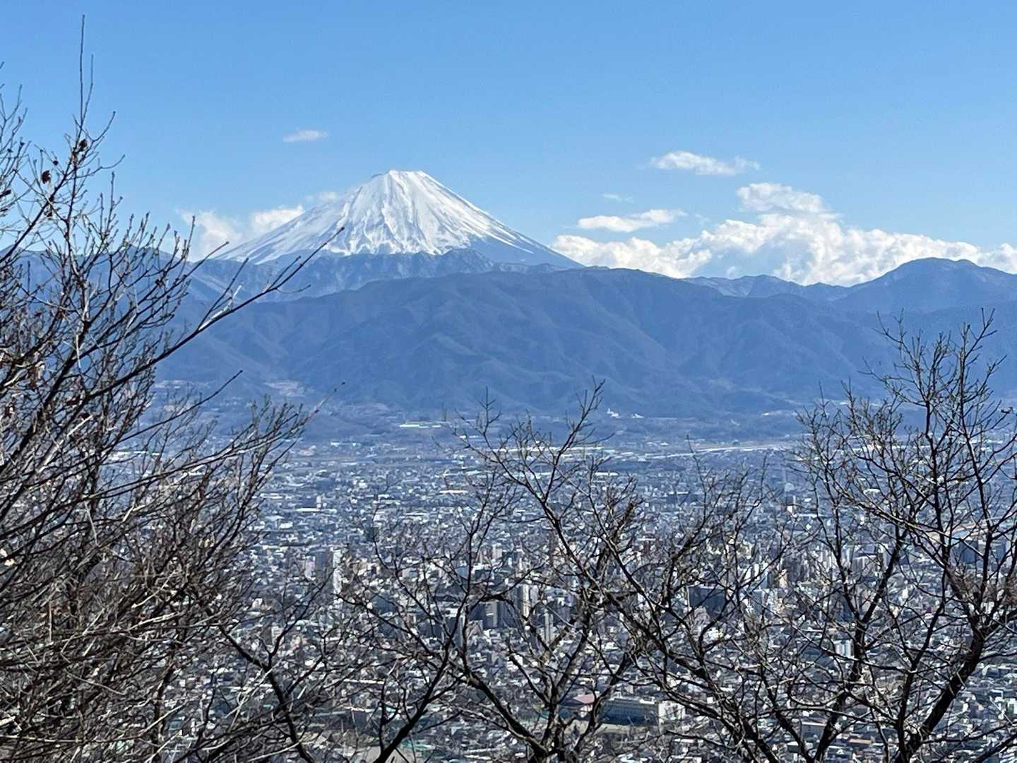 八王子山からの富士山