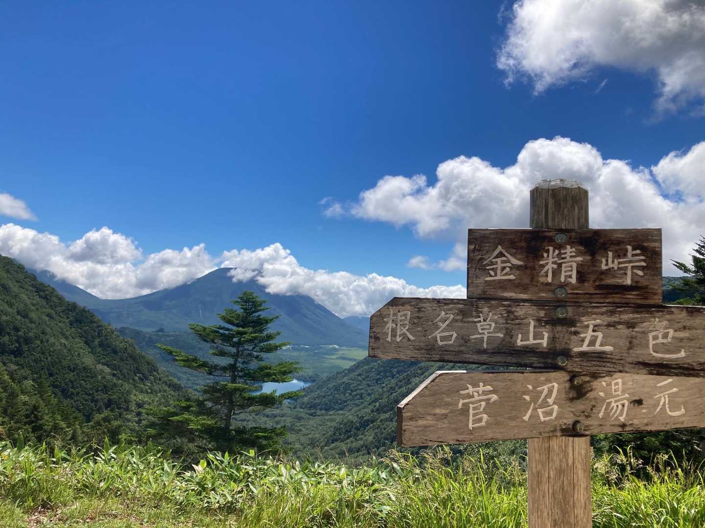 ここからの眺め最高です♪