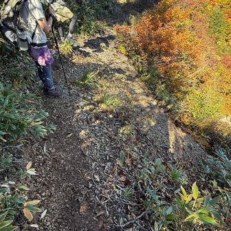 登山客の多さの割には崩れていてすれ違いがヒヤヒヤするポイント多い。