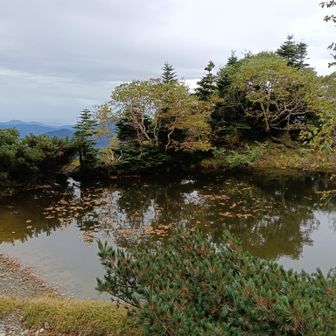 仁田池