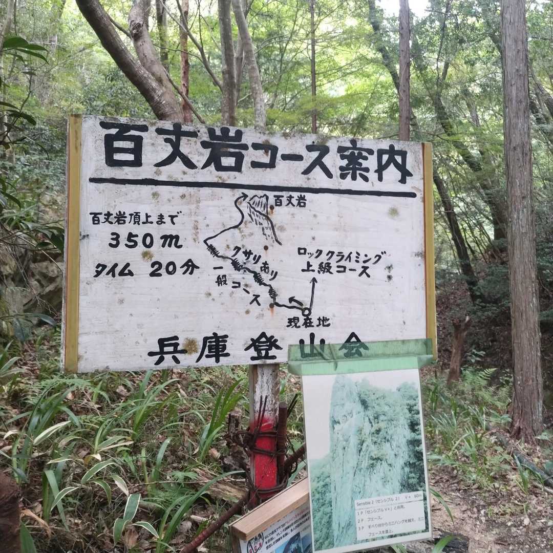 一般コースで