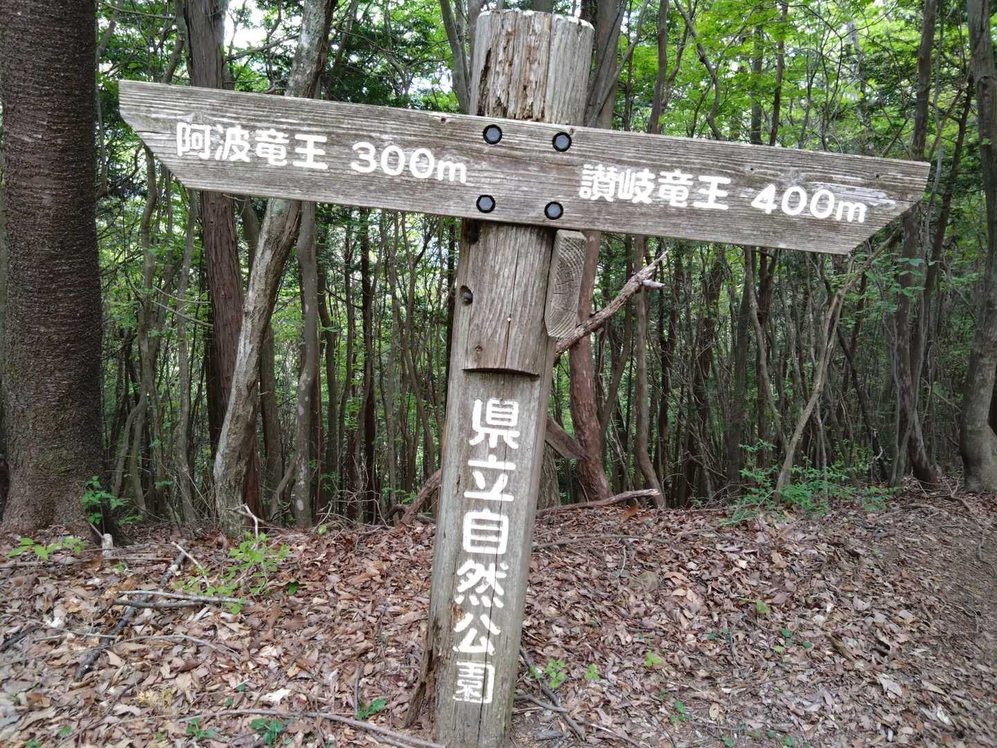 中間点