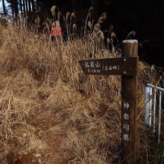 ここから登る。