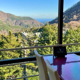 ちょっと遅いけど、館内でお昼
相模湾が見えるダイニング