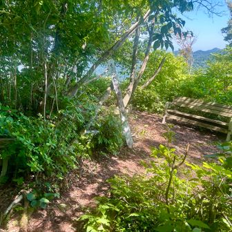 と思ってたらすぐに山頂