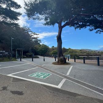 テラスの駐車場は優先車両のみ