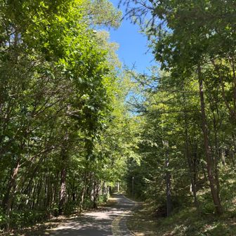 次のお山に行こうとしたけど、
あれっ、思ったとこと違うとこに下山。