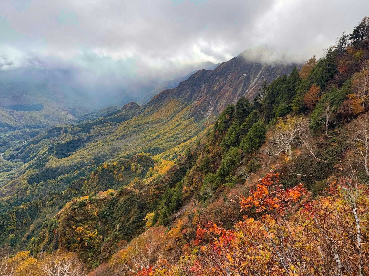 【縦走】鳥甲山（ムジナ平・屋敷）の写真