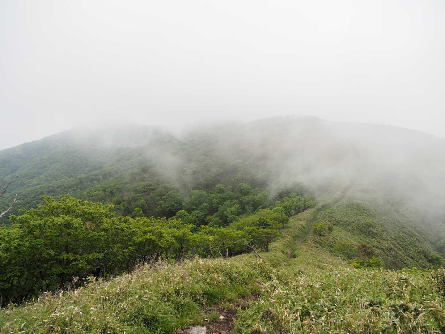 ご覧の通りでしたが、雨雲レーダーを確認して雨の心配は無さそうだったので予定通り東屋を目指しました。🚶💨