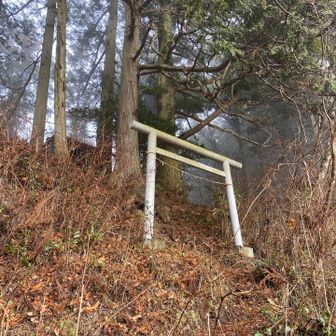 白い鳥居と、その先に小さな祠