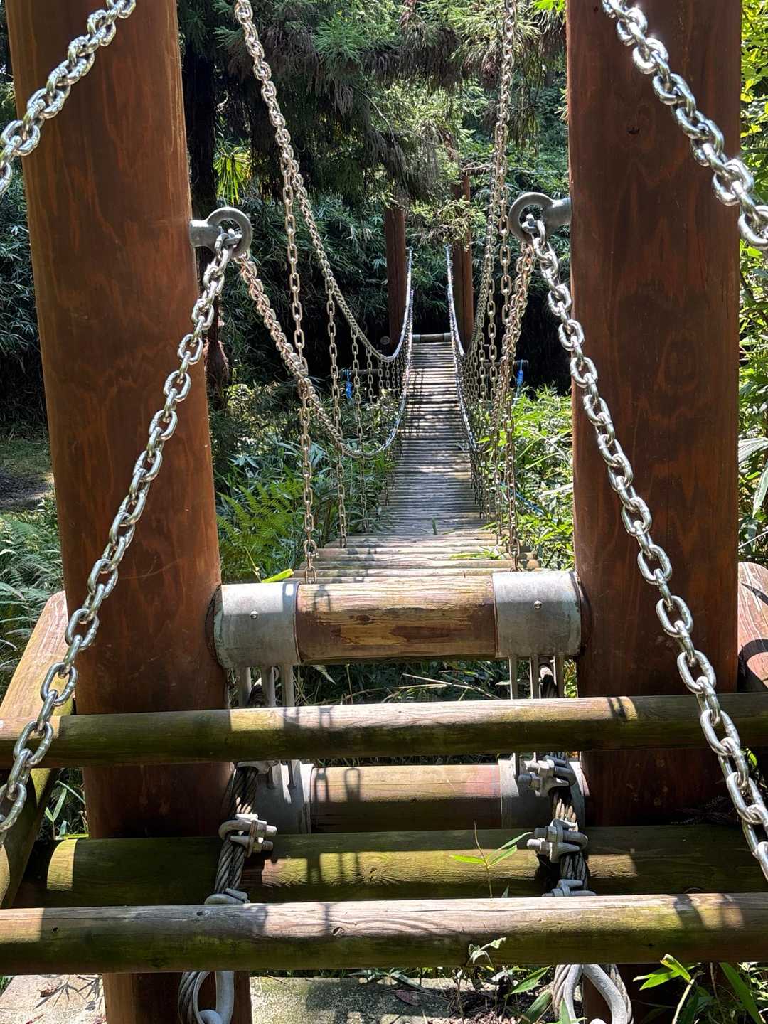 吊り橋❗️めちゃくちゃ揺れて退散しました😓