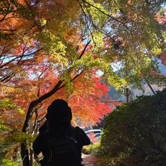 びわこ食堂は13時半まで…早く行かなくちゃ💨